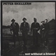 Peter Skellern - Not Without A Friend